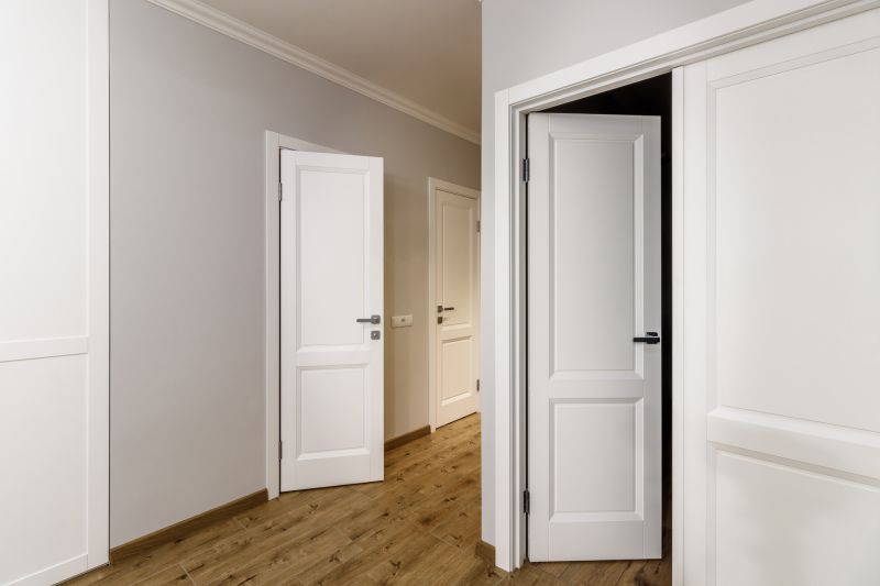 Modern Interior Door